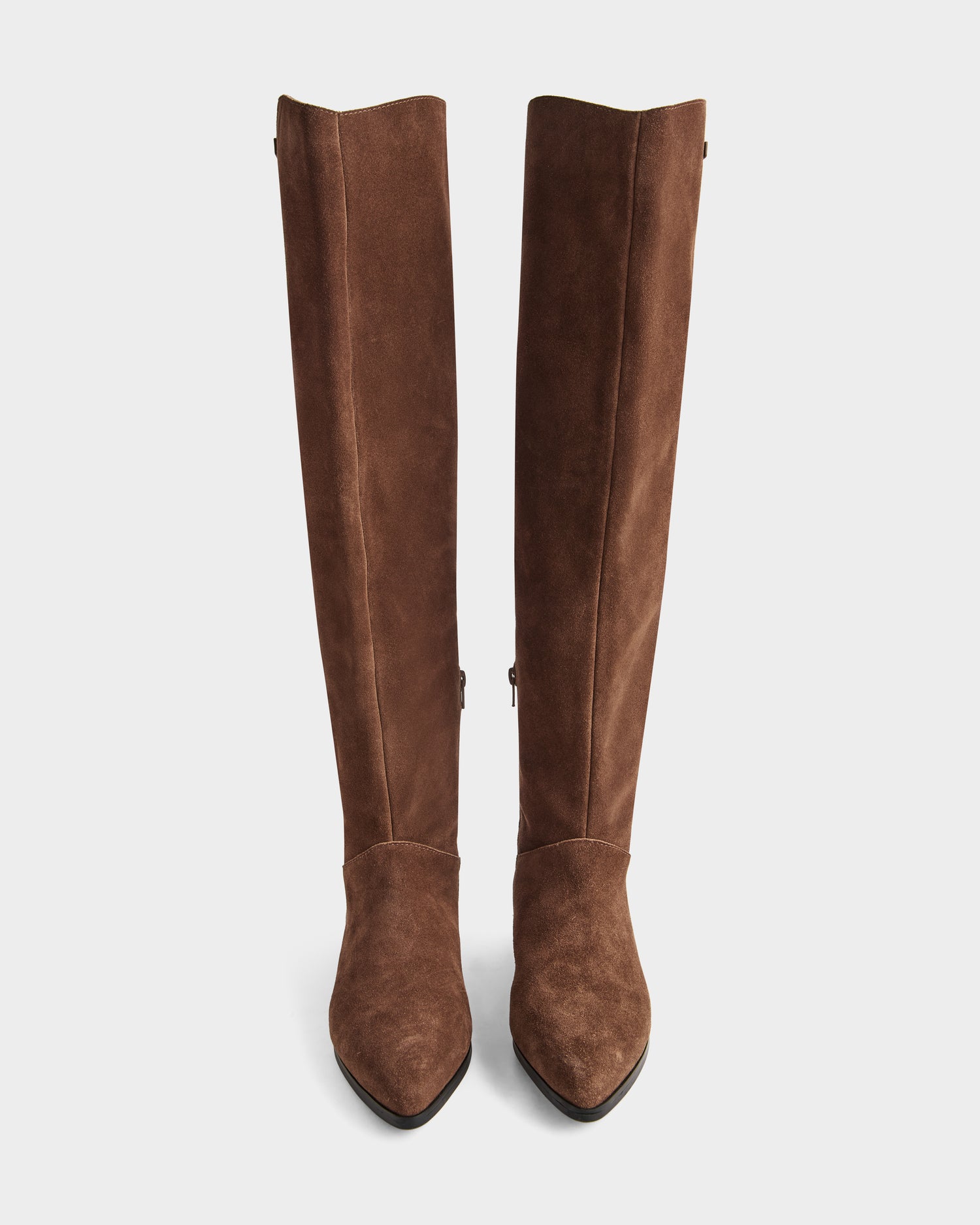 A pair of Rudsak MARSALLA - 8225033 Mocha women’s tall brown suede riding boots with pointed toes and side zippers, displayed upright against a plain white background.