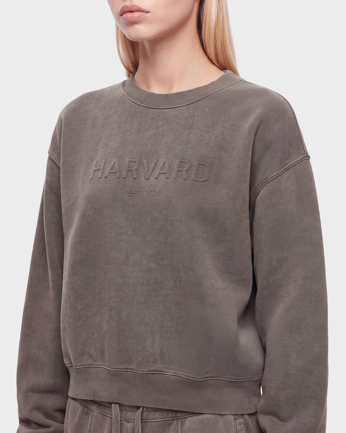 A person wearing the Rudsak LEXYE HV - H526900 Taupe sweatshirt. The photo is cropped from the nose down to mid-thigh.