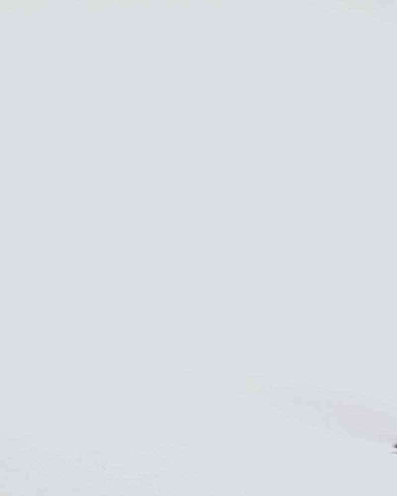 LINDSAY - 8125538 Black