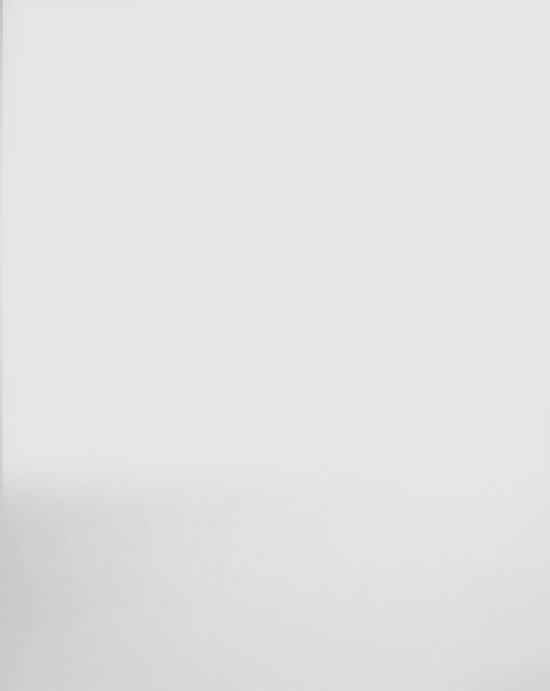 ELSIE - L121525 CAOCAO